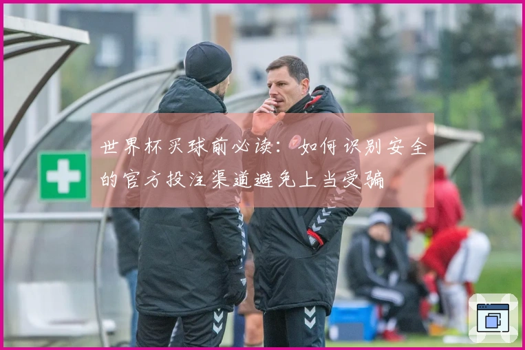 世界杯买球前必读：如何识别安全的官方投注渠道避免上当受骗