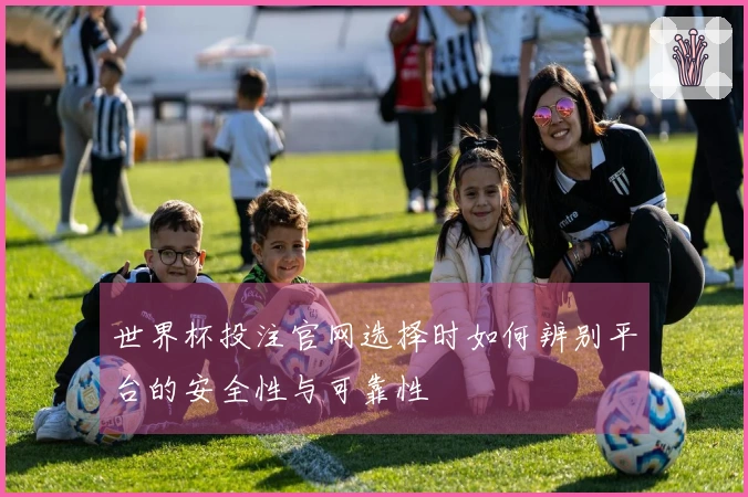 世界杯投注官网选择时如何辨别平台的安全性与可靠性